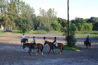 Czterech jeźdźców na koniach i instruktor, podczas lekcji nauki jazdy konnej.