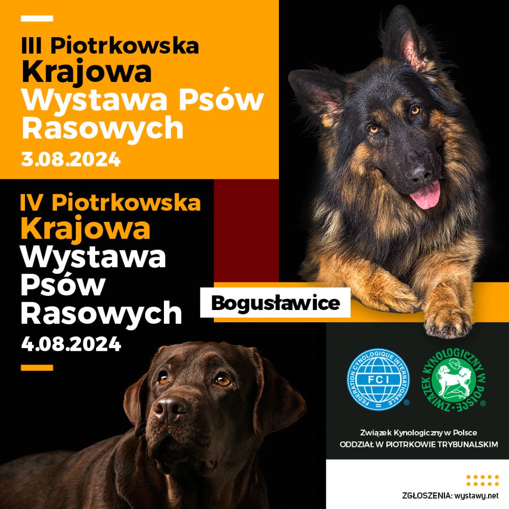 Wystawa_psów.jpeg