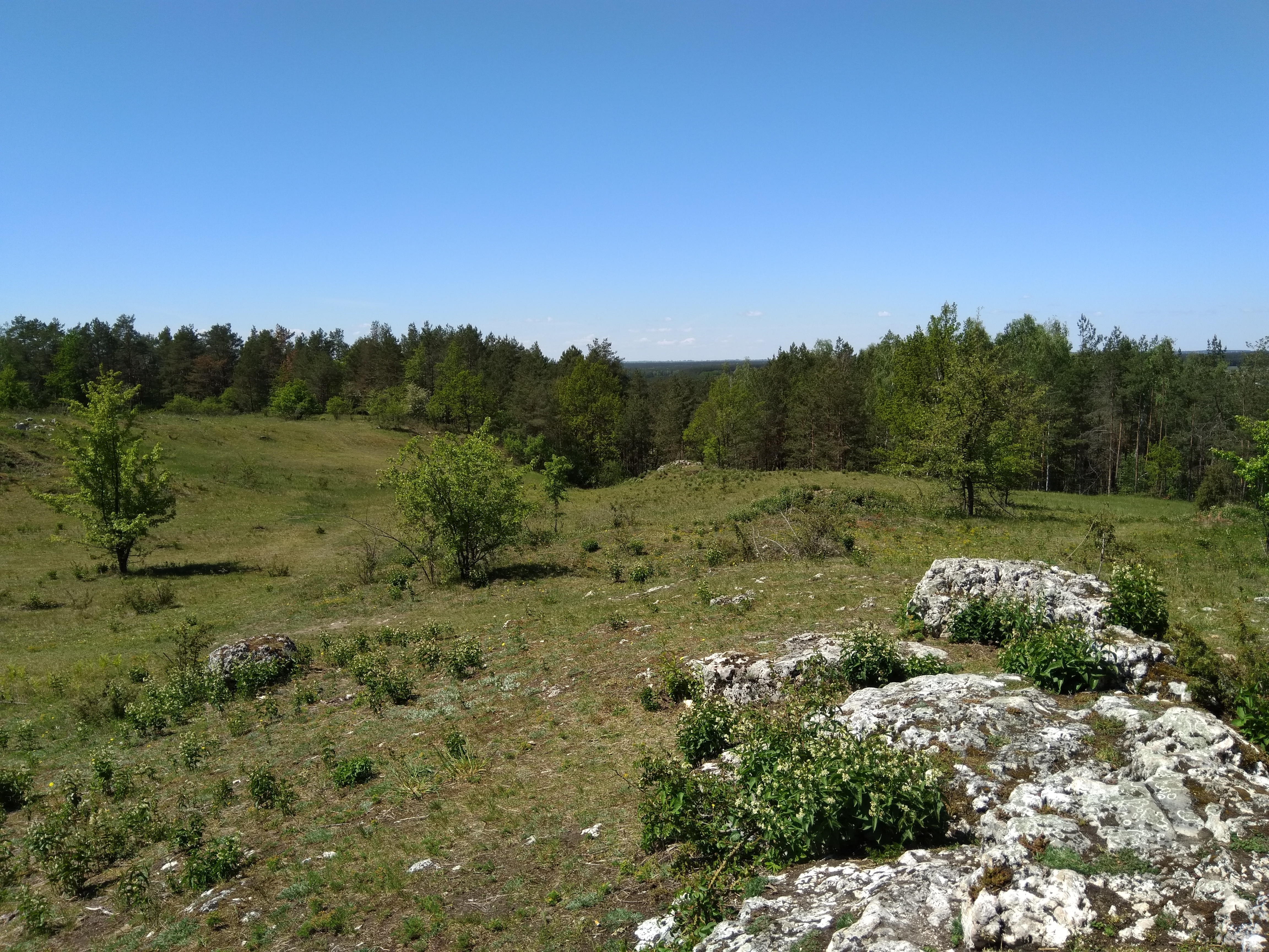 Zaleczanski_PK_rezerwat_weze_fot_WPogorzelska.jpg