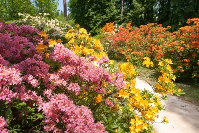 Arboretum w Rogowie już otwarte!