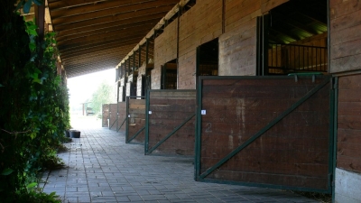 Widok stajni, otwarte boksy.